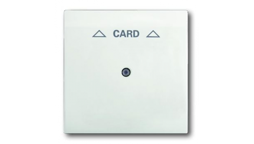 Плата центральная (накладка) для механизма карточного выключателя 2025 U, серия impuls, цвет белый бархат0