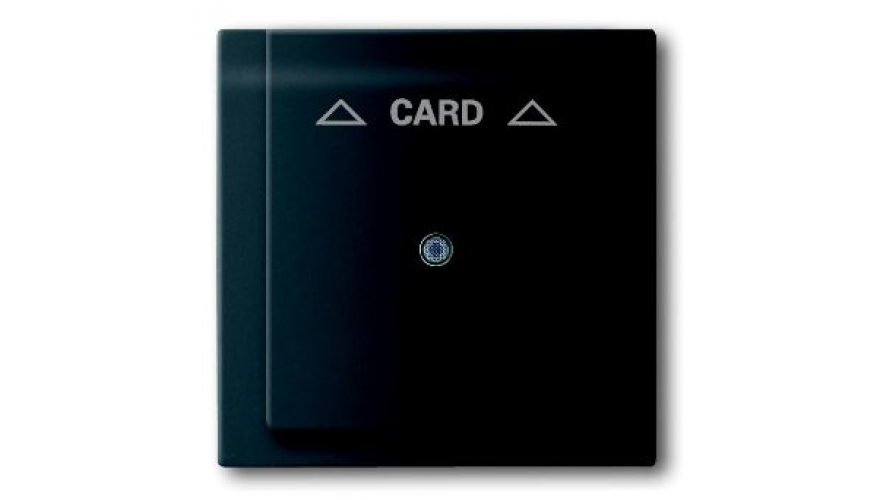 Плата центральная (накладка) для механизма карточного выключателя 2025 U, серия impuls, цвет чёрный бархат0