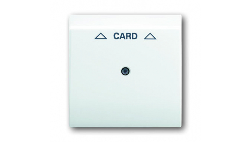 Плата центральная (накладка) для механизма карточного выключателя 2025 U, серия impuls, цвет альпийский белый0